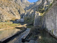 Kotor