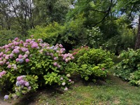 Botanical Gardens