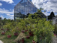 Botanical Gardens